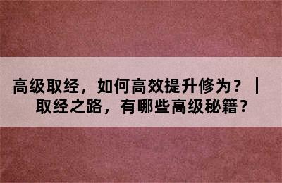 高级取经，如何高效提升修为？｜ 取经之路，有哪些高级秘籍？